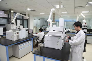 科技引領(lǐng)，服務(wù)賦能 以創(chuàng)新技術(shù)打響“上海制造”品牌，驅(qū)動集團高質(zhì)量發(fā)展